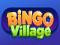 Go to Bingo Village